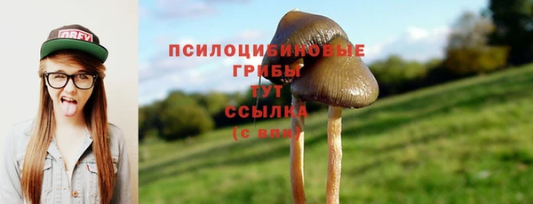 винт Балабаново