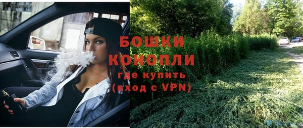 стаф Протвино
