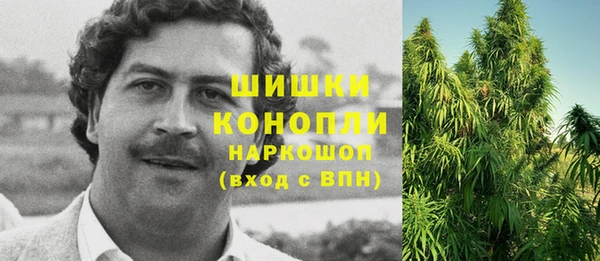 прущие грибы Пролетарск