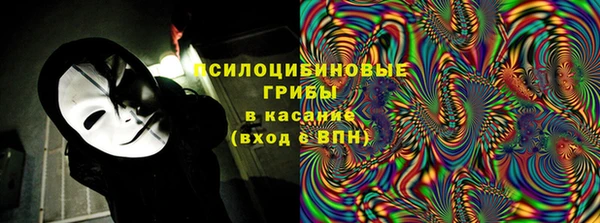 прущие крисы Приозерск