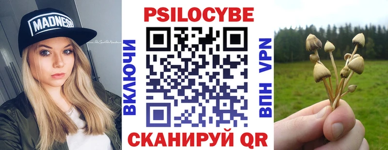 Псилоцибиновые грибы Cubensis  Бугульма 